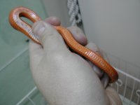 dscn5098.jpg