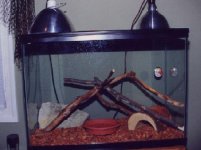 small home.jpg