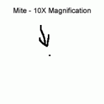 AMite10X.gif