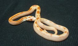 112-1208_IMG.JPG