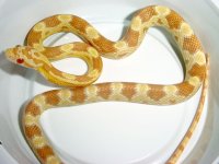 margi-exc-all-3`17`04.jpg