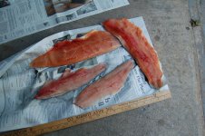 picture 387.jpg