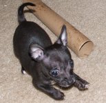 010607 vader (17).JPG