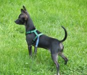 051207 vader (7).JPG