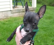 051207 vader (22).JPG