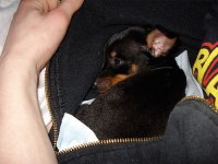 Odin20080306_1.jpg