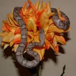 Erebos 03-08-08 a.jpg