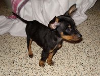 Odin20080306_3.jpg
