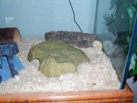 100_4879.jpg