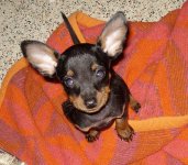 Odin20080306_4.jpg