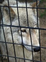 zoo-6.jpg