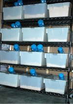 rodent rack.jpg