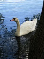 zoo-10.jpg