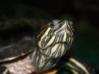 zoo-14.jpg