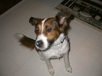 DSCN3171.JPG