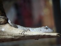 zoo-16.jpg