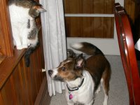 DSCN3173.JPG