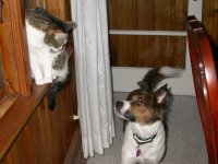 DSCN3174.JPG