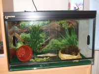 snailhome1.JPG