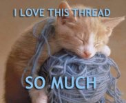 Lol cat, I love this thread so much.jpg