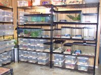2008_0609racks0002.JPG