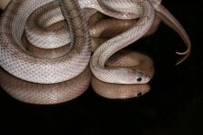 comp_IMG_5484.jpg