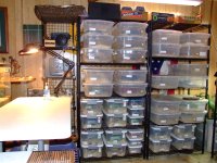 2008_0609racks0003.JPG
