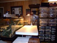 2008_0609racks0004.JPG