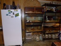 2008_0609racks0005.JPG