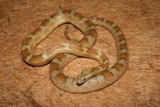 comp_IMG_4904.jpg