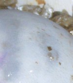 Eggs 002.jpg