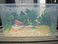 Jasper's Bin 001_800.jpg