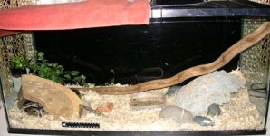 front view tank.jpg