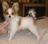 Clancy left side.jpg