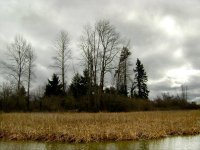 DSC01222.jpg