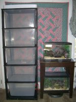 Rack #3.jpg