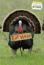 turkey.jpg
