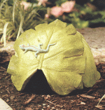 exterior-accents_1952_4638996.gif