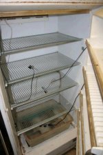 inside freezer.JPG