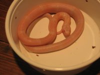 IMG_8688.JPG