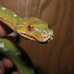 GTP-J 10-15-08 b.jpg