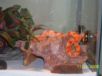 100_1176a.jpg