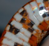 cropDSC_0098.jpg