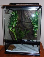 Exo Terra .JPG