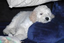 zDSC_0030 - Copy.JPG