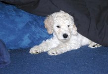 zDSC_0035 - Copy.JPG