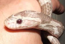 080906 val fs (14).JPG