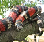 Dina 07-26-08 b-.jpg