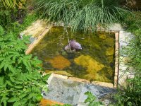 Solar Fountain 001.jpg