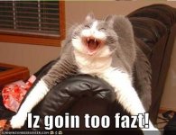 funny-pictures-cat-couch-too-fast.jpg